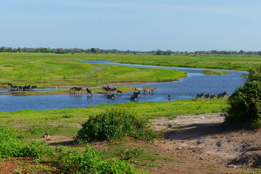 Cebras en Chobe National Park.