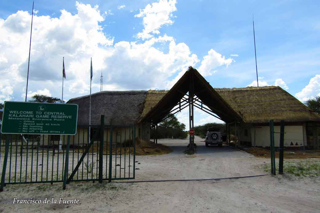 Matswere gate, Kalahari.