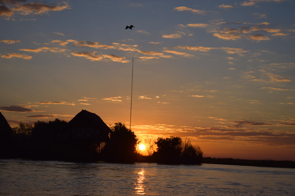 Atardecer en Chobe River Cruise.