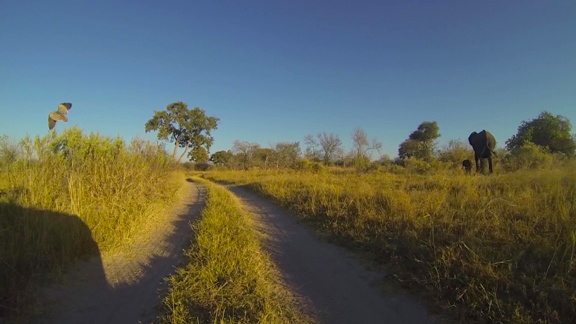 Caminos de Mboma Island.