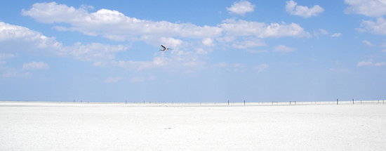 Saladar en Makgadikgadi Pans.
