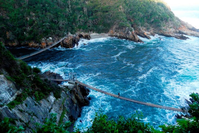 Puentes colgantes sobre Storms River.
