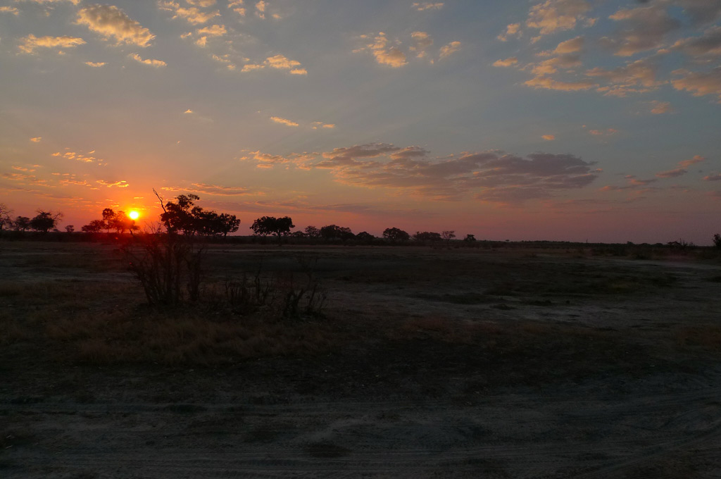 Atardecer en Savuti. Chobe N.P.